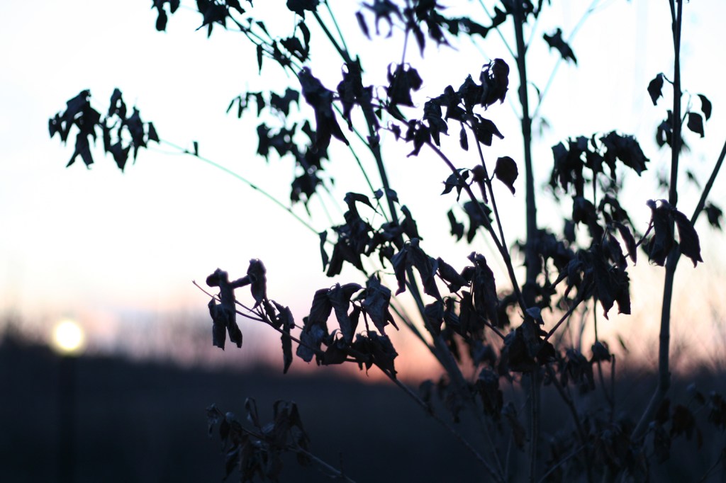 God’s Kindness Through Hardship (Ruth&nbsp;1)