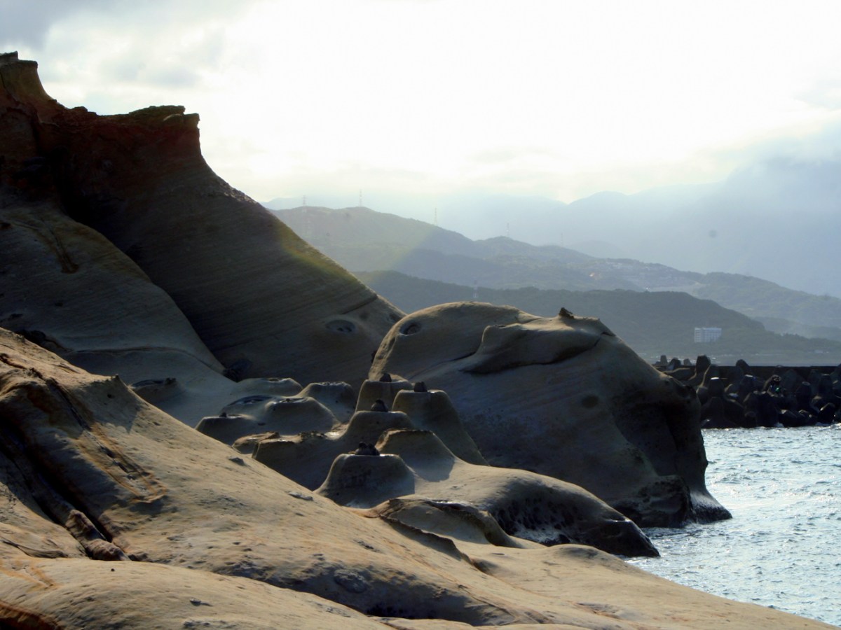 What to Do in the&nbsp;Waiting