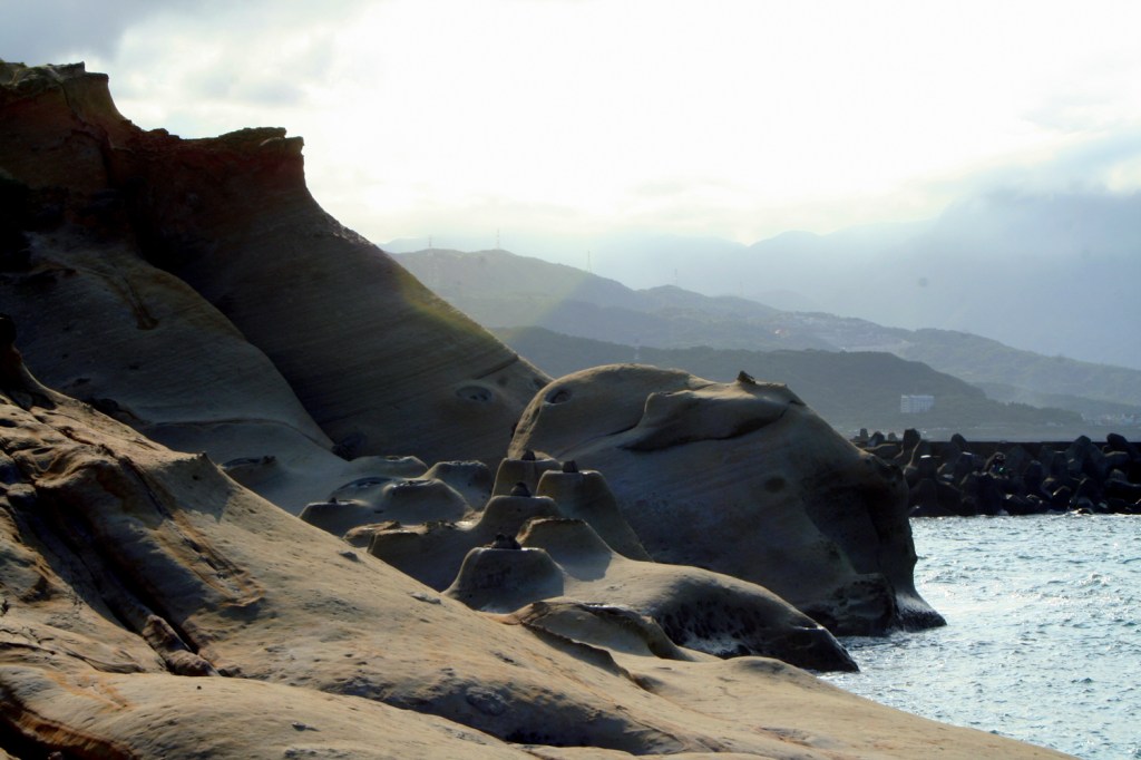 What to Do in the&nbsp;Waiting