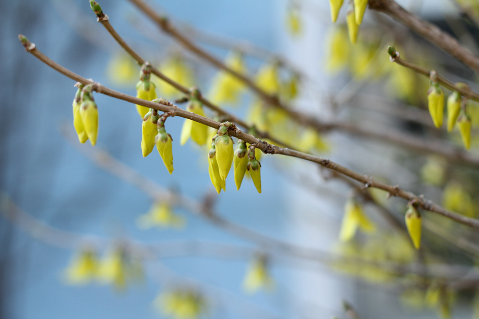 On New Years and Some of the&nbsp;Same