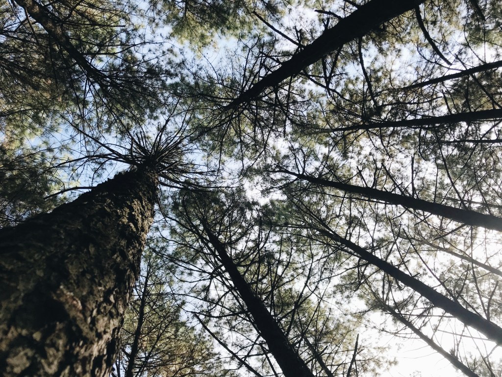 Grace for the Busy&nbsp;Season